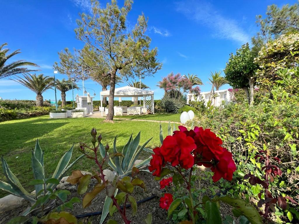 Hotel Parco Delle Rose Silvi Marina Exteriér fotografie