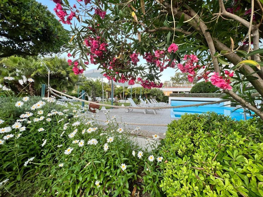 Hotel Parco Delle Rose Silvi Marina Exteriér fotografie