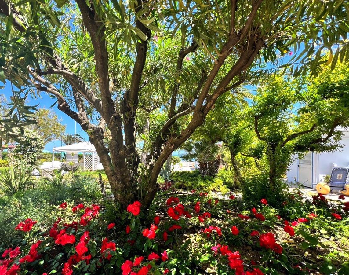 Hotel Parco Delle Rose Silvi Marina Exteriér fotografie